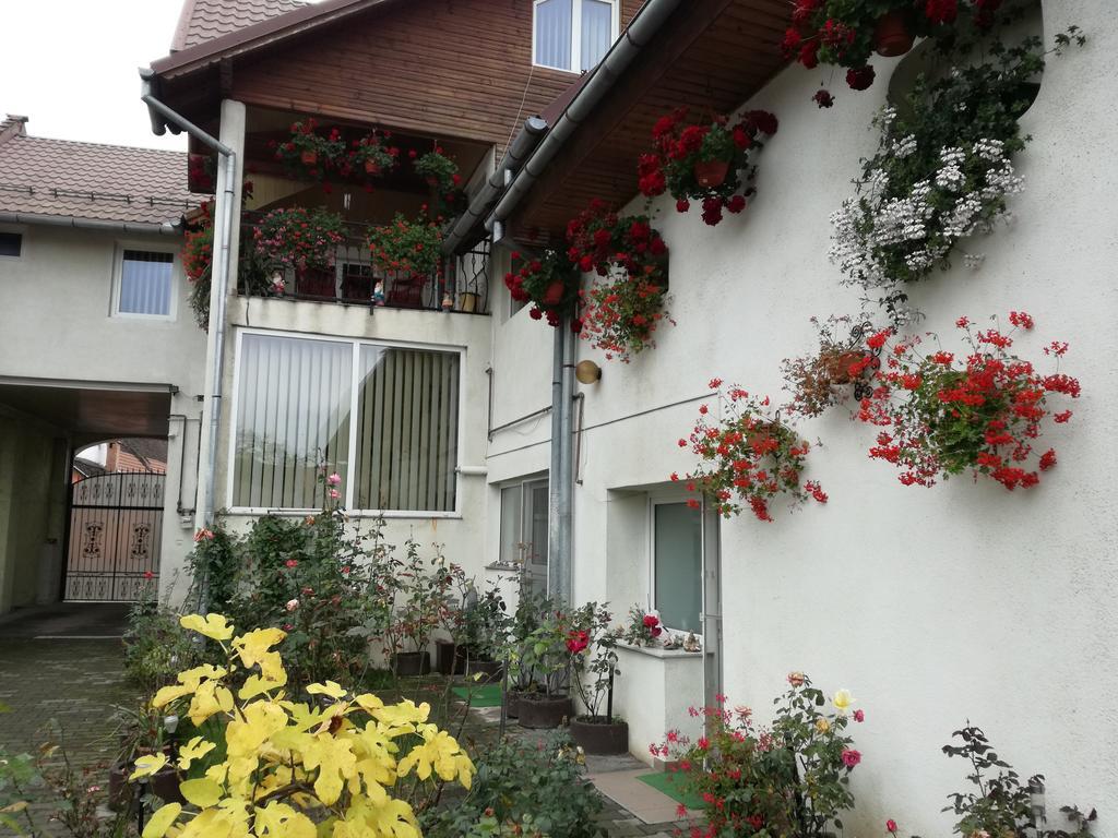 Vila Nely Rîşnov Exterior foto