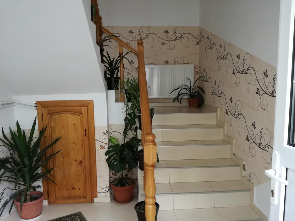 Vila Nely Rîşnov Exterior foto
